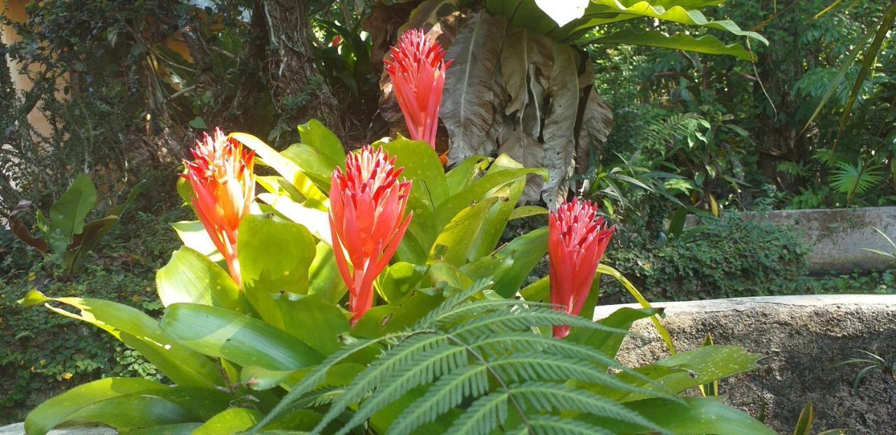 Forest Garden Lodge Bilar