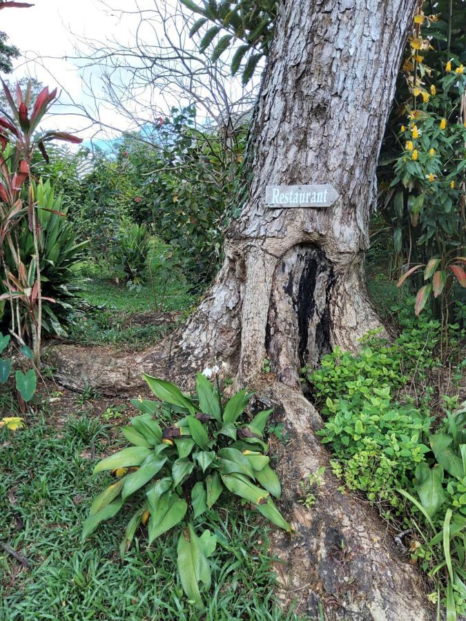 Lodge Forest Garden *